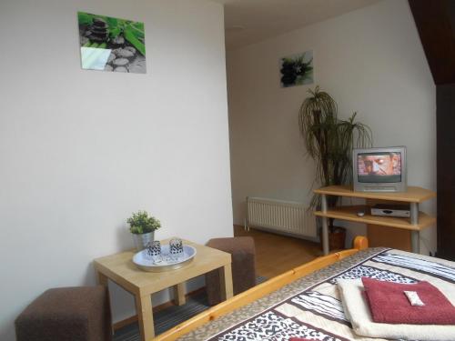 a bedroom with a bed and a table and a tv at Pension a Restaurant VESNA - České Švýcarsko in Srbská Kamenice