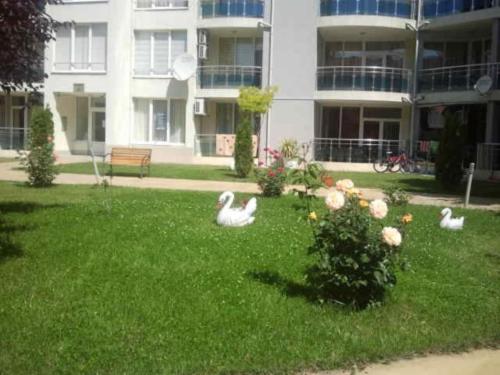 Zahrada ubytování Complex Oazis