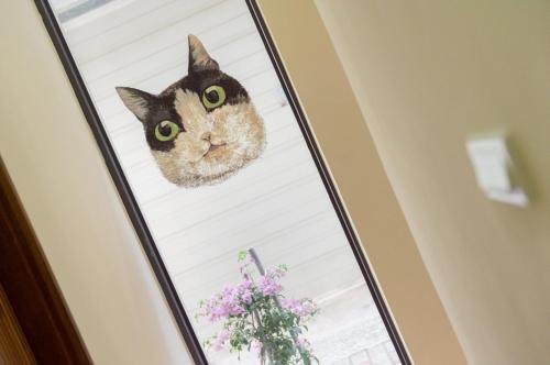 a cat looking out the window of a door at 聽故事台南民宿 有貓的民宿 in Tainan