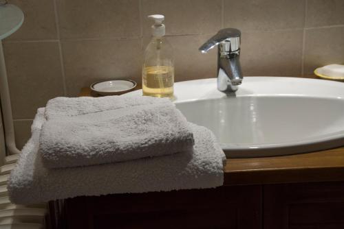 un lavabo de salle de bain avec deux serviettes et une bouteille de savon dans l'établissement La maison des Verdures, à Lus-la-Croix-Haute