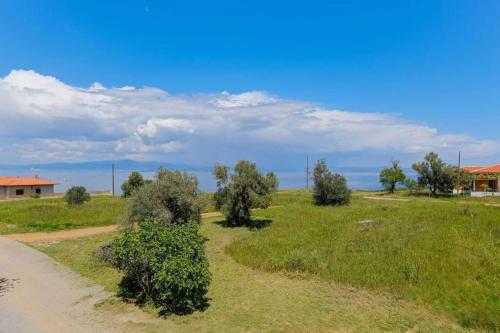 an open field with trees and a dirt road at Heliophilia 3-bdrm Maisonette in Nea Fokea in Nea Fokea