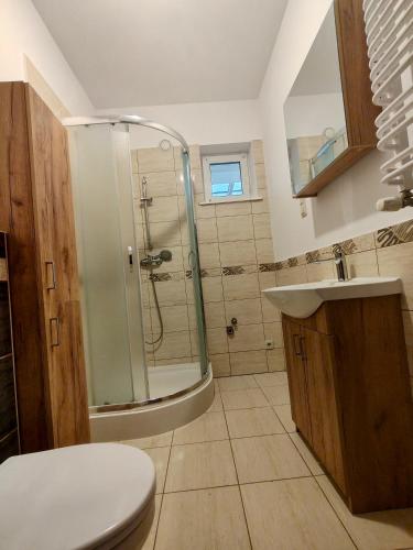 a bathroom with a shower and a toilet and a sink at Apartament Ala in Przewłoka