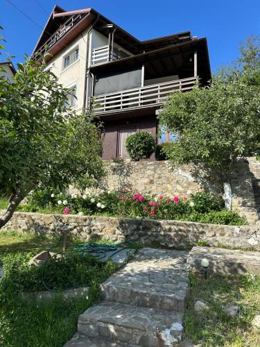 a house with a stone path in front of it at La Colonelu in Sărata-Monteoru