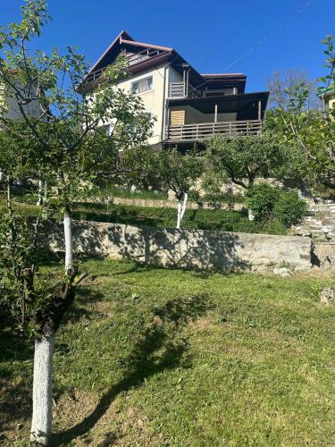 a house on top of a hill with a tree at La Colonelu in Sărata-Monteoru