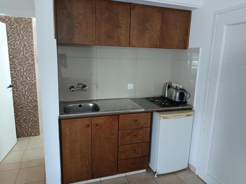 a kitchen with wooden cabinets and a sink and a refrigerator at Georgia Hotel Apartments in Protaras