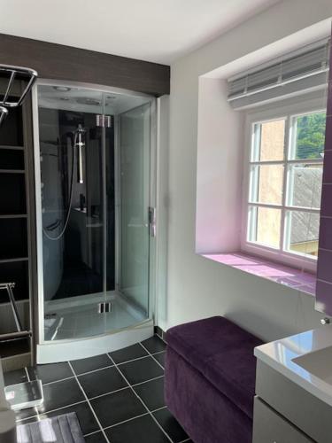 une salle de bain avec une douche en verre avec un canapé violet dans l'établissement Appartement rénové T3 en duplex, à Argelès-Gazost