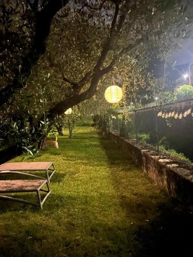a bench sitting in the grass under a tree at Villa Giulia in Sulzano