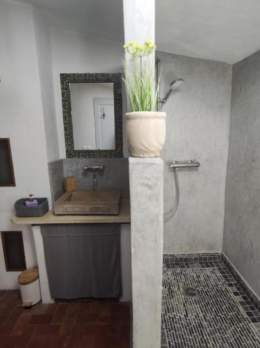 La salle de bains est pourvue d'un lavabo et d'une plante en pot. dans l'établissement La Verrerie, à Seillons-Source-dʼArgens