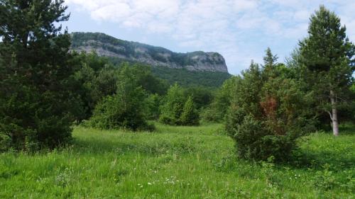 a field with trees and mountains in the background at gîte de l'aigle in Aouste-sur-Sye