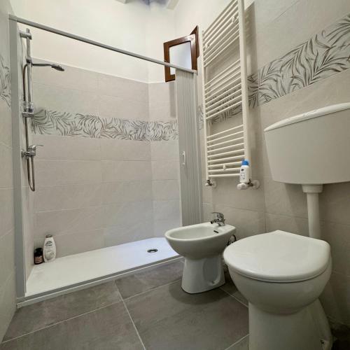 a bathroom with a toilet and a shower with a toilet at Ottantas Apartment in Spinazzola
