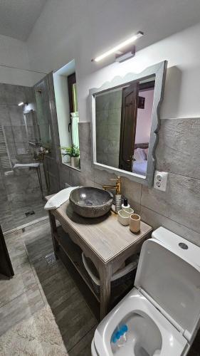 a bathroom with a toilet and a sink and a shower at Casa cu Moara in Râșca