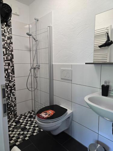 a bathroom with a toilet and a sink and a shower at Ferienwohnung Vier Pfoten in Willingen
