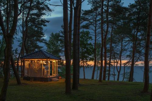 a tiny cabin with lights in the woods at night at Apartamenty Na Klifie Przystań 18 Chłapowo in Władysławowo