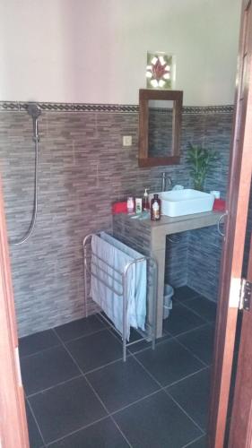 a bathroom with a sink and a shower at Cegeng Lestari Guesthouse in Sidemen