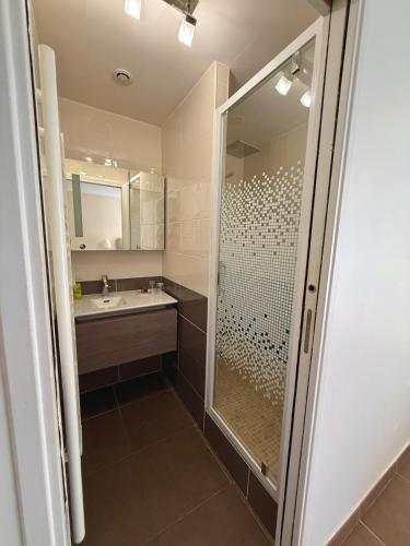 une salle de bain avec douche et lavabo dans l'établissement Sur le toit de Saint-Tropez, à Saint-Tropez