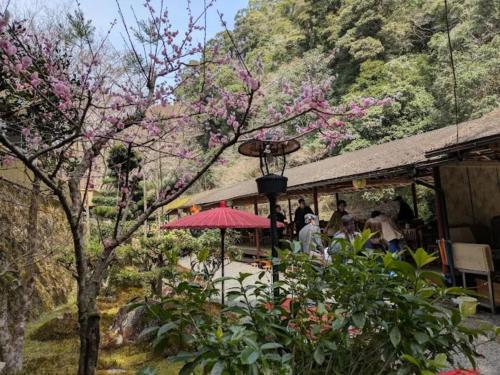 a tree with pink flowers in front of a building at Takao Kanko Hotel in Kyoto