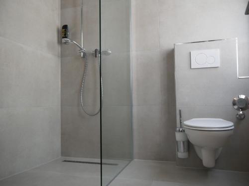 a bathroom with a shower and a toilet at AS Aparthotel in Schorndorf