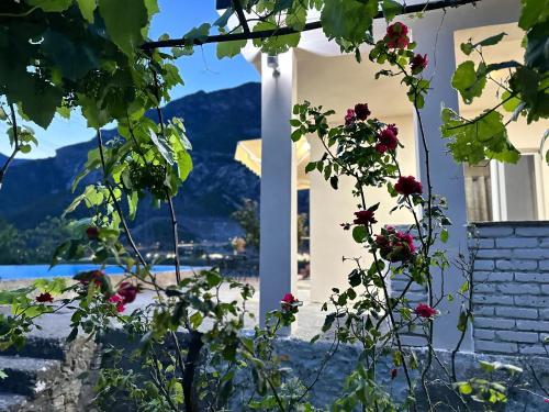 a white house with flowers in front of it at Breeze of the Drin Guesthouse Camping in Vau i Dejës