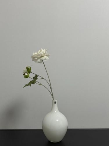 a white vase with a white flower in it at Daeboodo Prince Pension in Ansan