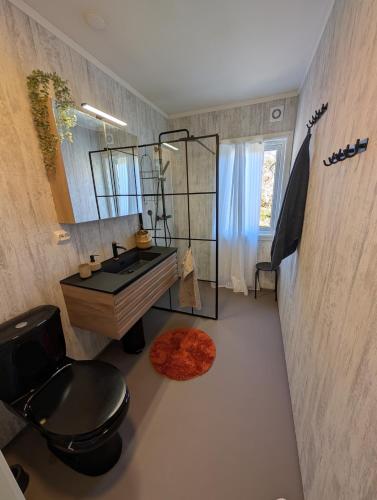 a bathroom with a sink and a toilet and a mirror at Flott hytte skjærgård Lindesnes in Svinøy