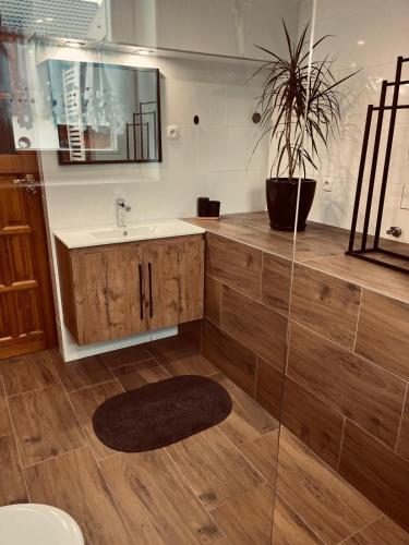 a bathroom with a sink and a potted plant at Nad stawami - apartament in Białowieża
