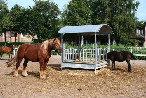 a horse standing next to a feeder with another horse at Ferienhof Peter in Vollerwiek