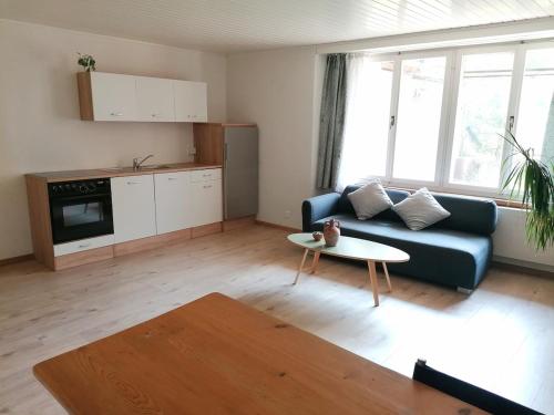 Kuchyň nebo kuchyňský kout v ubytování Apartment in Erlach