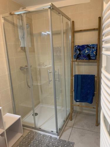 une douche avec une porte vitrée dans une salle de bain dans l'établissement Detached stone house with terrace in Ardèche, à Alboussière