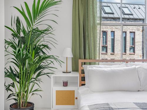 a bedroom with a bed and a plant at Pass the Keys Cosy Garden Home in Canterbury
