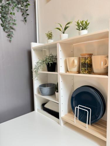 a shelf with potted plants and a blue plate at Hotel Rojas Pērle in Roja
