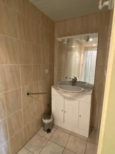 a bathroom with a sink and a toilet at La Ferme du Gorgin in Innimond
