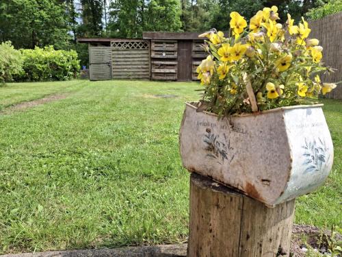 a pot of flowers sitting on top of a wooden stump at Walls 1 in Wallsbüll