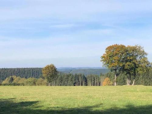 a field with green grass and trees in the background at Comfortable Chalet in Ovifat near Ski Lift in Waimes