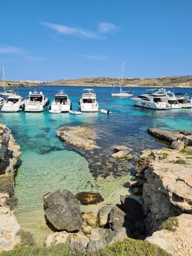 a group of boats docked in a body of water at Richard's Living in Xewkija