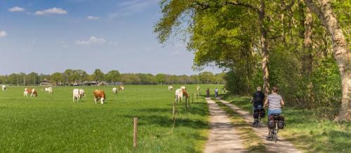 Tetamu yang menginap di Resort Bad Boekelo - Hotel met Spa & Wellness in Enschede
