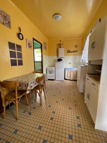 Pyrenees studio view poolyer