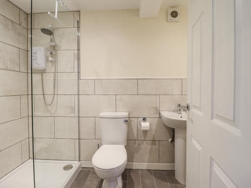a bathroom with a toilet and a shower and a sink at 1 Y Llew in Llandinam