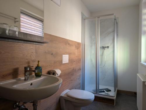 a bathroom with a sink and a toilet and a shower at Sacher's Quartiere in Großengottern