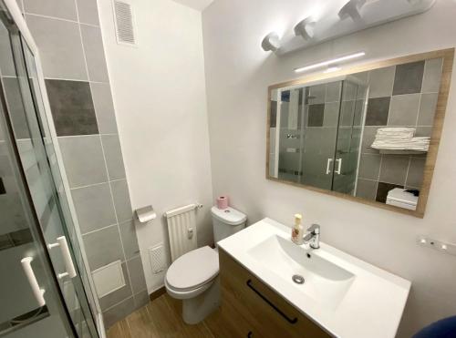 une salle de bain avec un lavabo, des toilettes et un miroir dans l'établissement BUCER Strasbourg Parking, à Strasbourg