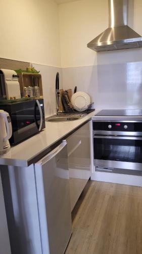 une cuisine avec une cuisinière et un micro-ondes dans l'établissement Naova Cosy Studio, à Kaysersberg