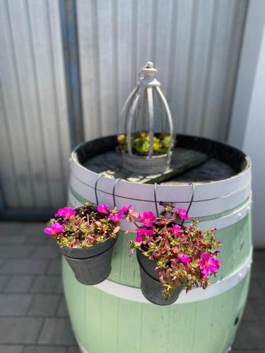 two flower pots with flowers in them on a barrel at Domizil Gols, Studios Am Anger in Gols