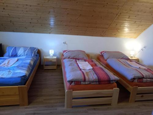 two beds in a room with two lamps on tables at Family house with terrace and garden 