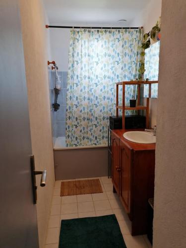 une salle de bain avec un lavabo et une douche dans l'établissement Maison avec grand jardin ludique proche mer, à Guérande