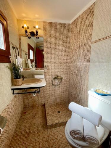 a bathroom with a toilet and a sink and a mirror at Mary's Archontiko in Mesaria
