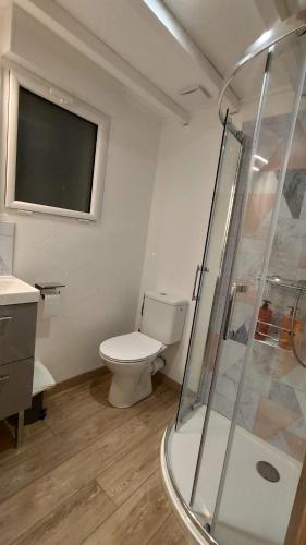 a bathroom with a toilet and a glass shower at Studio Cosy proche Futuroscope in Montamisé