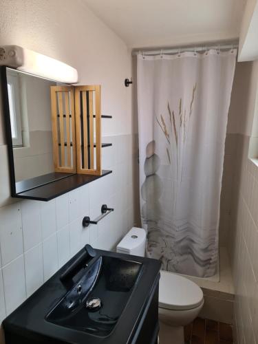 a bathroom with a black sink and a toilet at La Cardabelle in Moulinet