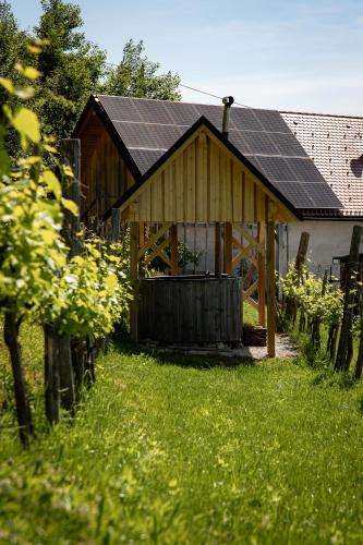 a barn with a roof with solar panels on it at Vineyard cottage Škatlar 3 in Otočec