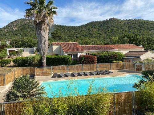 - une piscine avec des chaises et un palmier dans l'établissement Marina Di Fautea, à Olmucciu