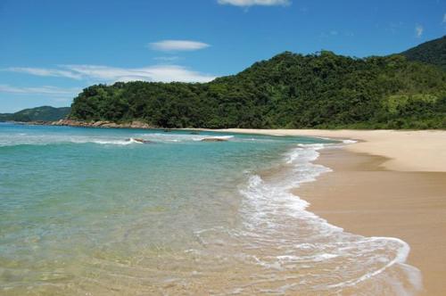 a beach with the ocean and trees in the background at Canto de Paz Trindade Hospedagem in Trindade