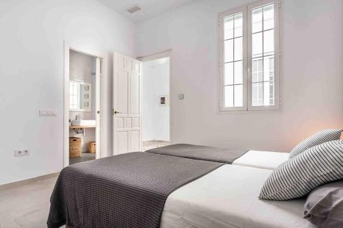 Spacious apartment historic center Santa Cruz